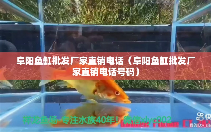 阜阳鱼缸批发厂家直销电话（阜阳鱼缸批发厂家直销电话号码）