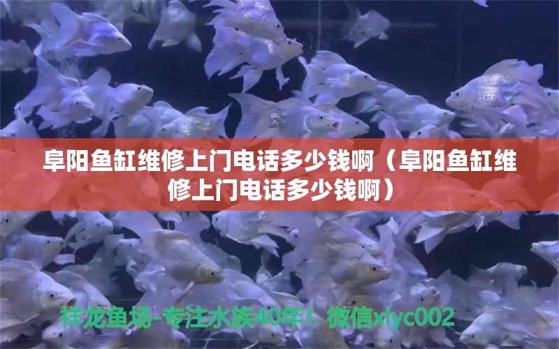 阜阳鱼缸维修上门电话多少钱啊（阜阳鱼缸维修上门电话多少钱啊）