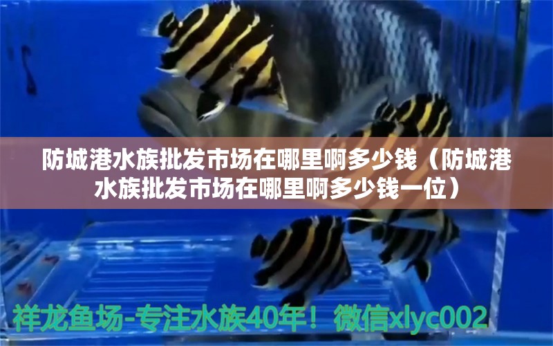 防城港水族批发市场在哪里啊多少钱（防城港水族批发市场在哪里啊多少钱一位）