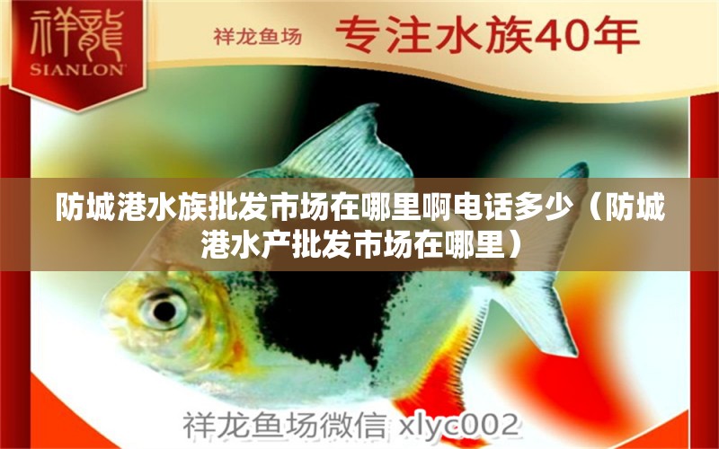 防城港水族批发市场在哪里啊电话多少（防城港水产批发市场在哪里）