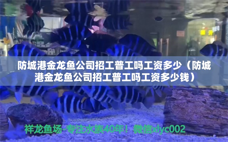 防城港金龙鱼公司招工普工吗工资多少（防城港金龙鱼公司招工普工吗工资多少钱） 观赏鱼市场（混养鱼）