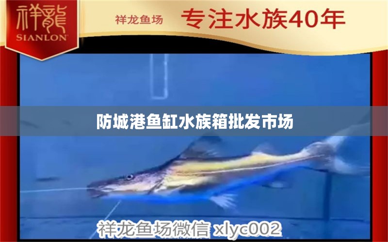 防城港鱼缸水族箱批发市场