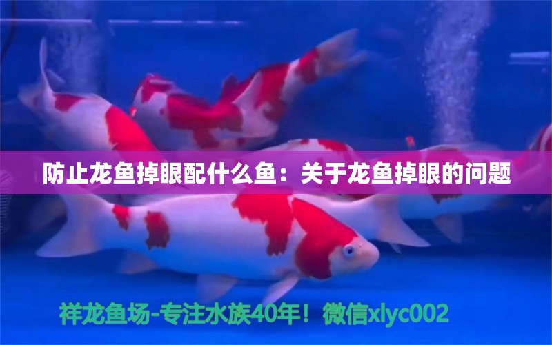 防止龙鱼掉眼配什么鱼：关于龙鱼掉眼的问题 水族问答 第1张