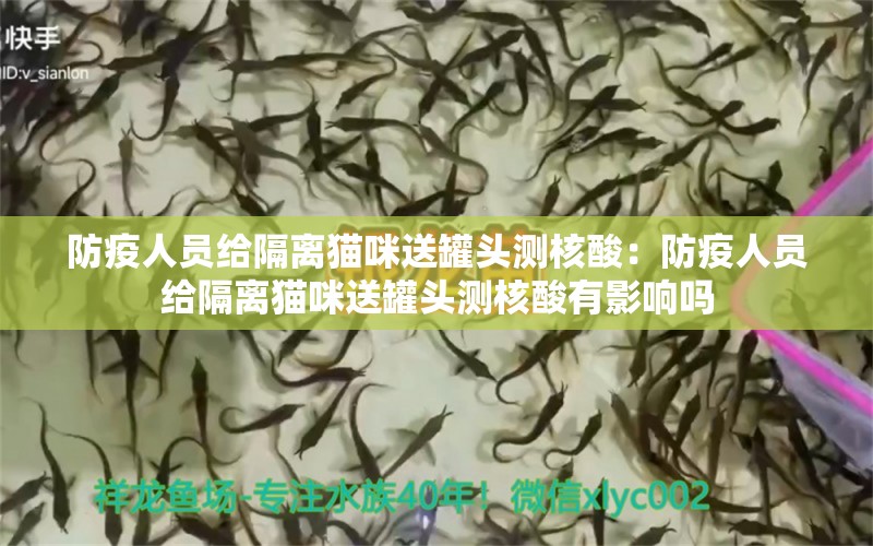 防疫人员给隔离猫咪送罐头测核酸：防疫人员给隔离猫咪送罐头测核酸有影响吗