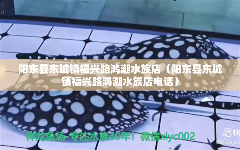 阳东县东城镇福兴路鸿潮水族店（阳东县东城镇福兴路鸿潮水族店电话） 全国水族馆企业名录