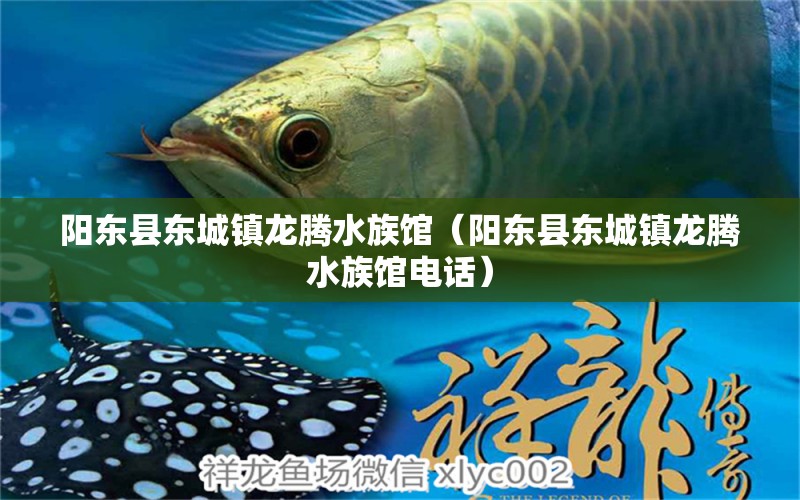 阳东县东城镇龙腾水族馆（阳东县东城镇龙腾水族馆电话） 全国水族馆企业名录