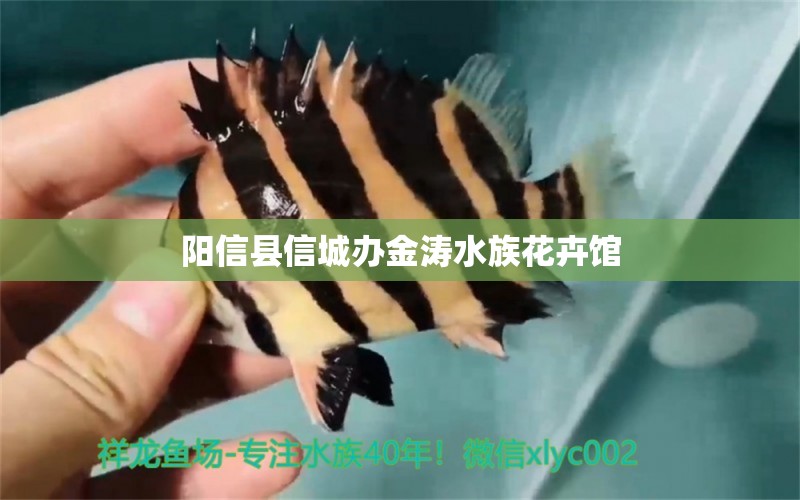 阳信县信城办金涛水族花卉馆