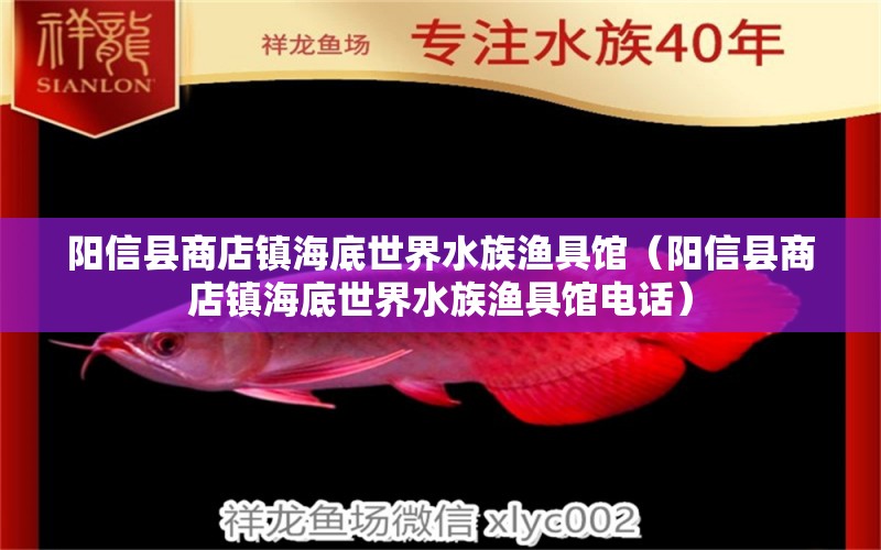 阳信县商店镇海底世界水族渔具馆（阳信县商店镇海底世界水族渔具馆电话）