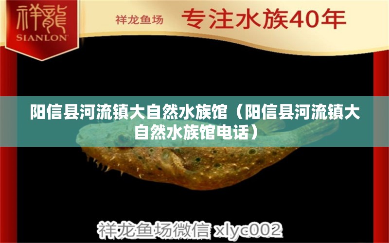 阳信县河流镇大自然水族馆（阳信县河流镇大自然水族馆电话） 全国水族馆企业名录