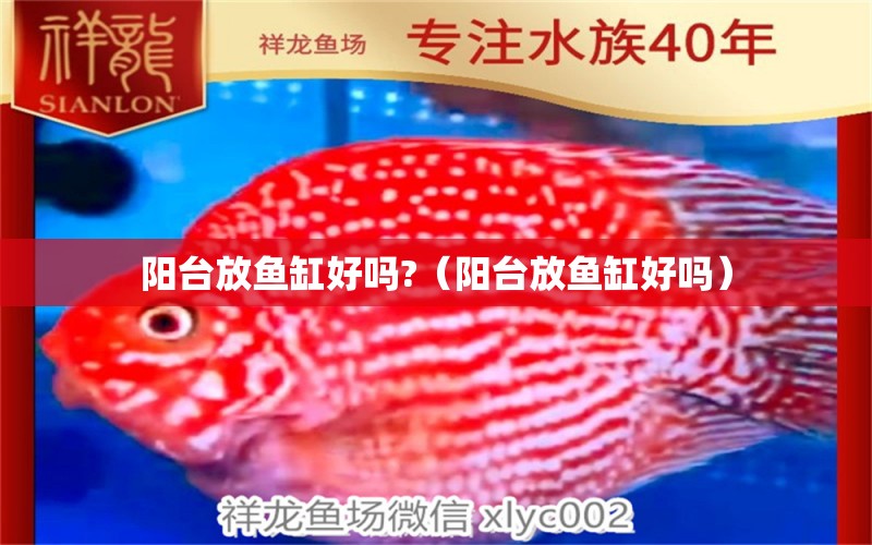 阳台放鱼缸好吗?（阳台放鱼缸好吗） 祥龙水族医院