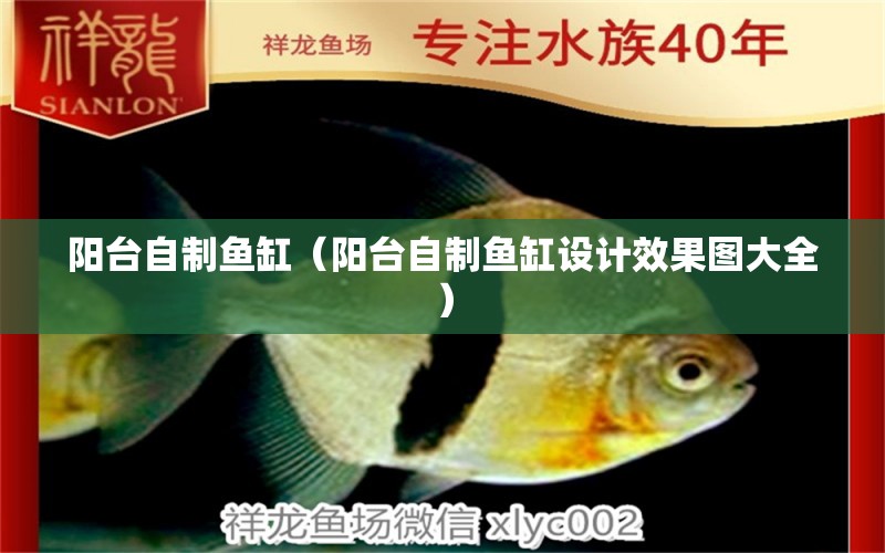 阳台自制鱼缸（阳台自制鱼缸设计效果图大全） 祥龙水族医院