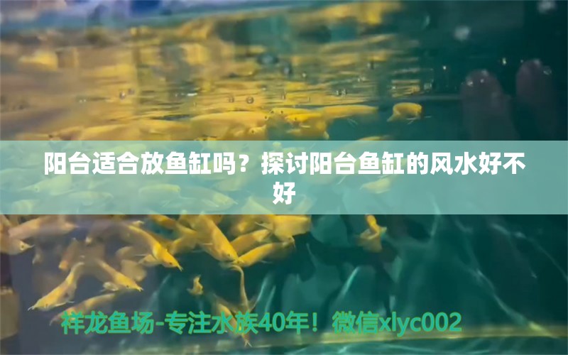 阳台适合放鱼缸吗？探讨阳台鱼缸的风水好不好 鱼缸风水