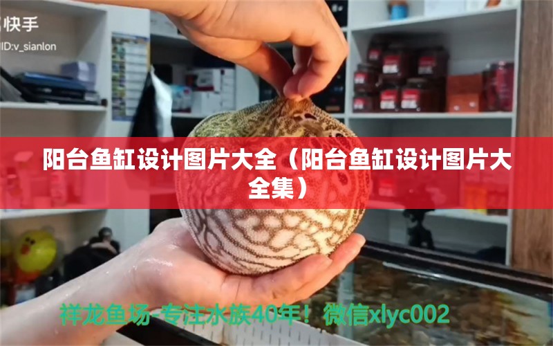 阳台鱼缸设计图片大全（阳台鱼缸设计图片大全集） 祥龙水族医院