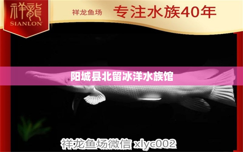 阳城县北留冰洋水族馆 全国水族馆企业名录