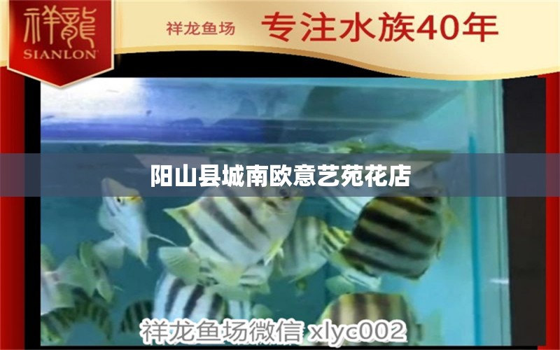 阳山县城南欧意艺苑花店 全国水族馆企业名录