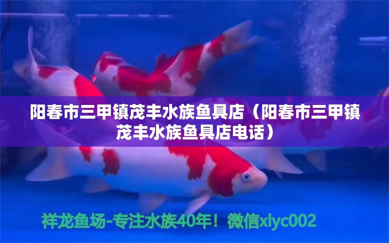 阳春市三甲镇茂丰水族鱼具店（阳春市三甲镇茂丰水族鱼具店电话） 全国水族馆企业名录