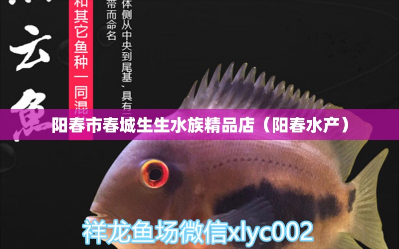 阳春市春城生生水族精品店（阳春水产）