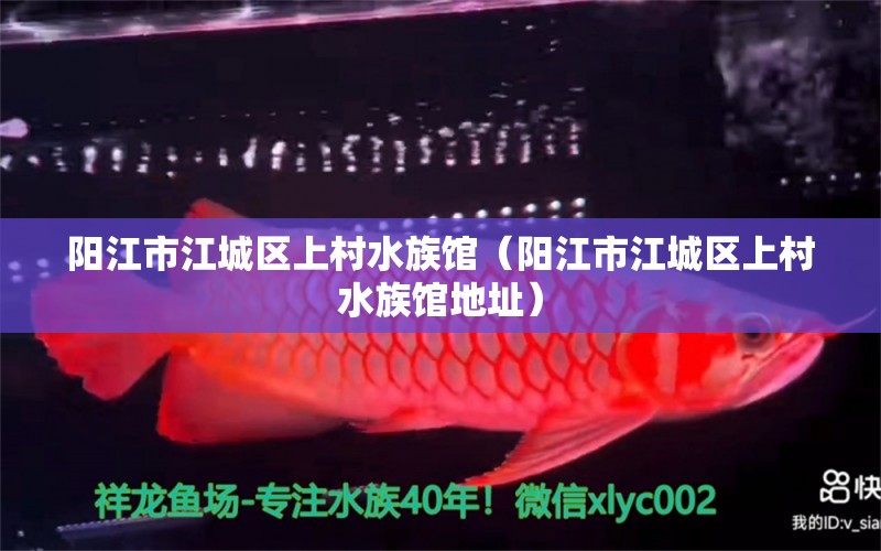 阳江市江城区上村水族馆（阳江市江城区上村水族馆地址） 全国水族馆企业名录