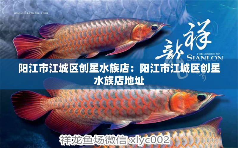 阳江市江城区创星水族店：阳江市江城区创星水族店地址