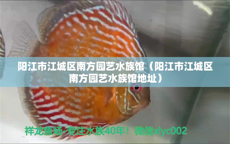 阳江市江城区南方园艺水族馆（阳江市江城区南方园艺水族馆地址）