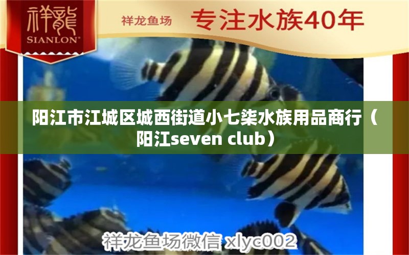 阳江市江城区城西街道小七柒水族用品商行（阳江seven club） 水族用品