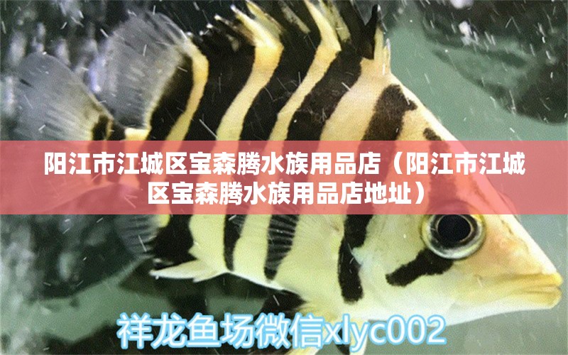 阳江市江城区宝森腾水族用品店（阳江市江城区宝森腾水族用品店地址） 水族用品