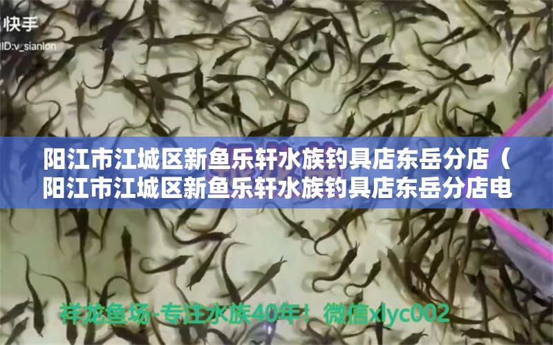 阳江市江城区新鱼乐轩水族钓具店东岳分店（阳江市江城区新鱼乐轩水族钓具店东岳分店电话）