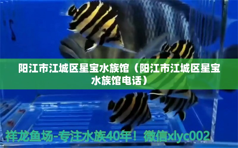 阳江市江城区星宝水族馆（阳江市江城区星宝水族馆电话）