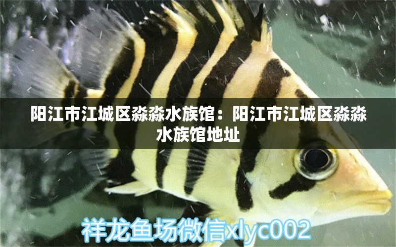 阳江市江城区淼淼水族馆：阳江市江城区淼淼水族馆地址