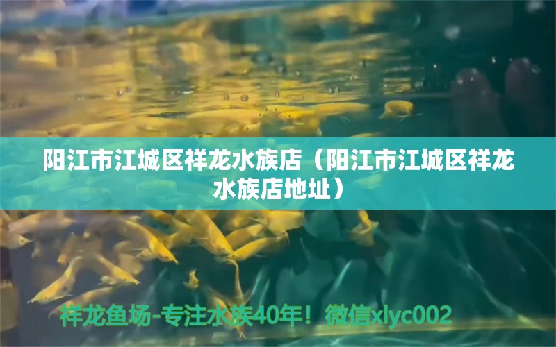 阳江市江城区祥龙水族店（阳江市江城区祥龙水族店地址） 全国水族馆企业名录