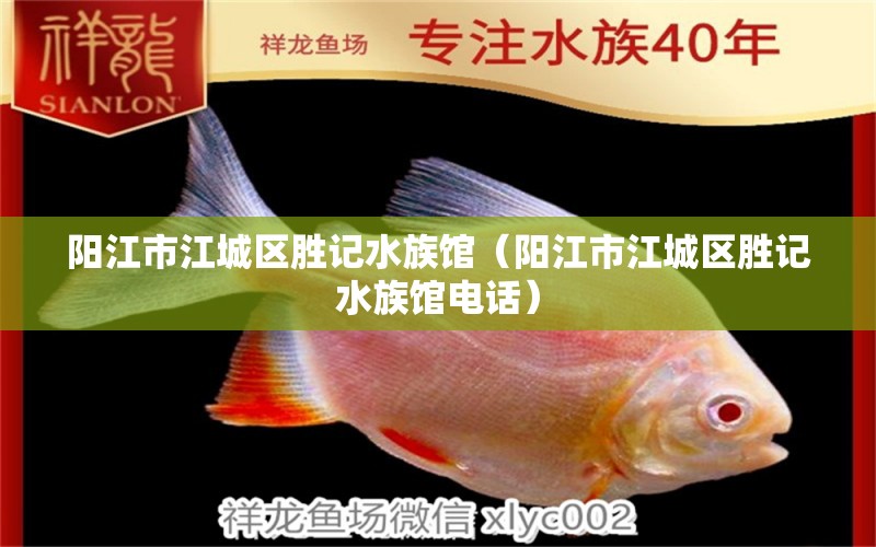 阳江市江城区胜记水族馆（阳江市江城区胜记水族馆电话） 全国水族馆企业名录