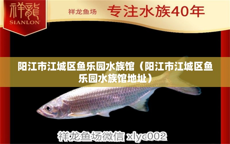 阳江市江城区鱼乐园水族馆（阳江市江城区鱼乐园水族馆地址）