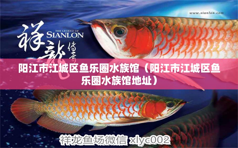 阳江市江城区鱼乐圈水族馆（阳江市江城区鱼乐圈水族馆地址） 全国水族馆企业名录