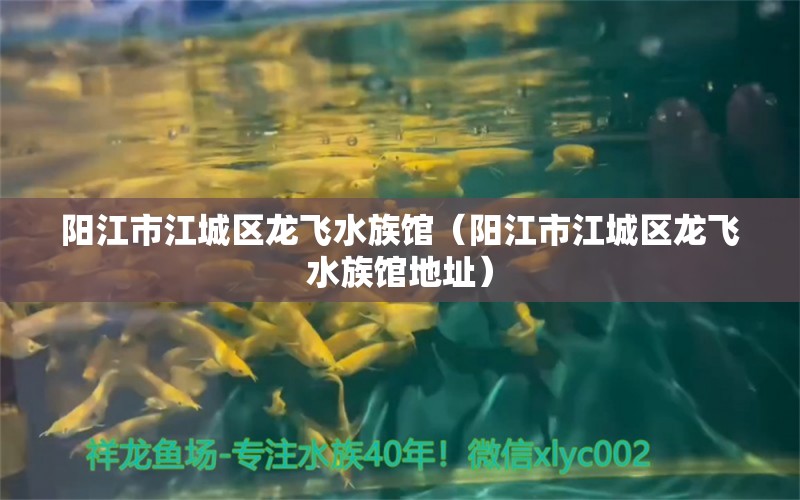 阳江市江城区龙飞水族馆（阳江市江城区龙飞水族馆地址） 全国水族馆企业名录