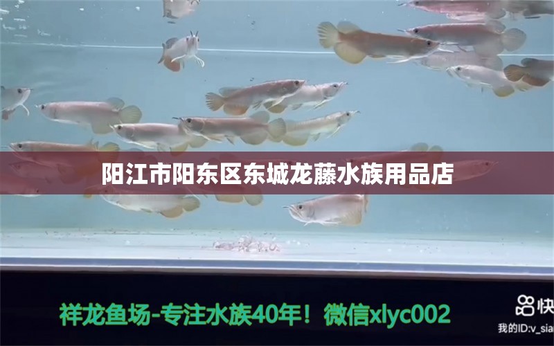 阳江市阳东区东城龙藤水族用品店 全国水族馆企业名录