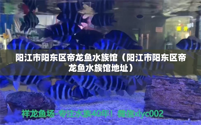 阳江市阳东区帝龙鱼水族馆（阳江市阳东区帝龙鱼水族馆地址）