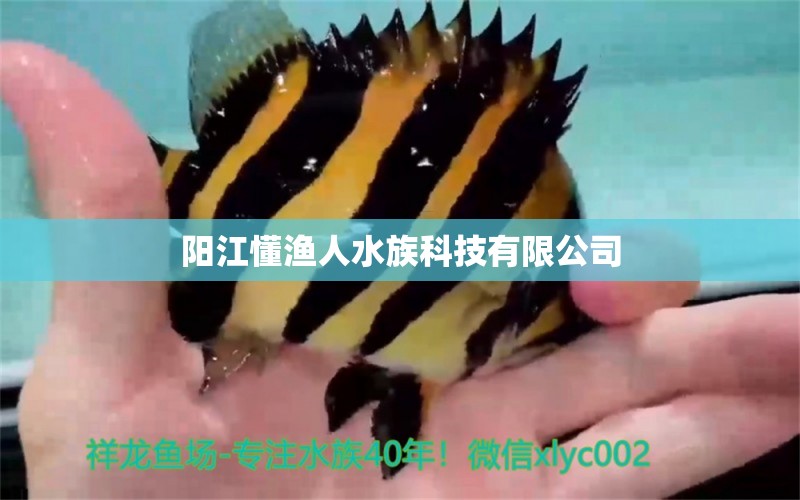 阳江懂渔人水族科技有限公司 全国水族馆企业名录