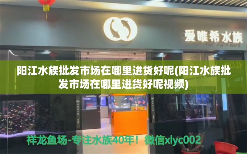 阳江水族批发市场在哪里进货好呢(阳江水族批发市场在哪里进货好呢视频) 斯维尼关刀鱼