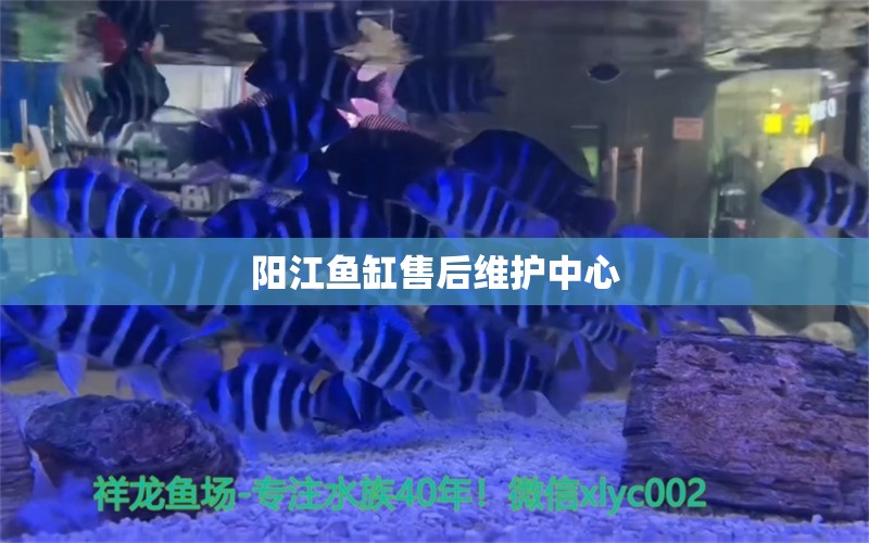 阳江鱼缸售后维护中心 其他品牌鱼缸