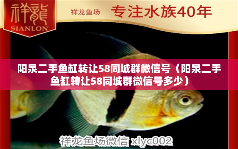 阳泉二手鱼缸转让58同城群微信号（阳泉二手鱼缸转让58同城群微信号多少）