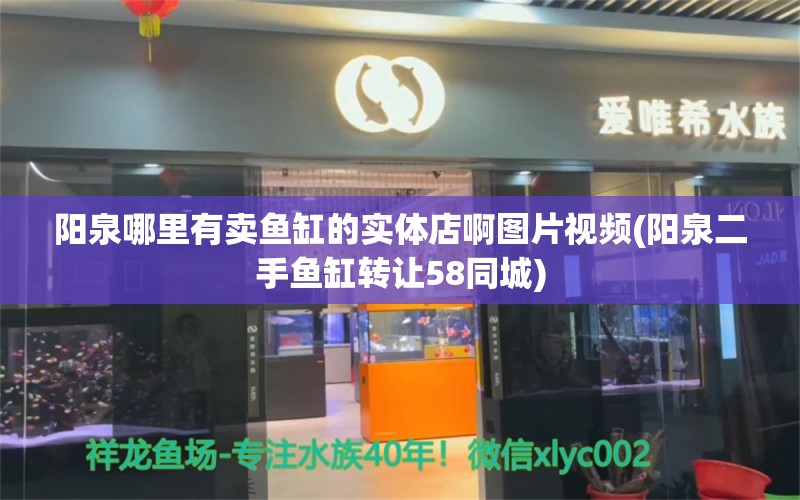 阳泉哪里有卖鱼缸的实体店啊图片视频(阳泉二手鱼缸转让58同城)