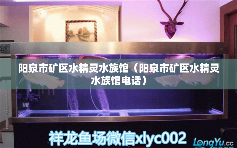 阳泉市矿区水精灵水族馆（阳泉市矿区水精灵水族馆电话） 全国水族馆企业名录