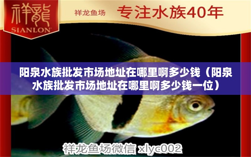 阳泉水族批发市场地址在哪里啊多少钱（阳泉水族批发市场地址在哪里啊多少钱一位）