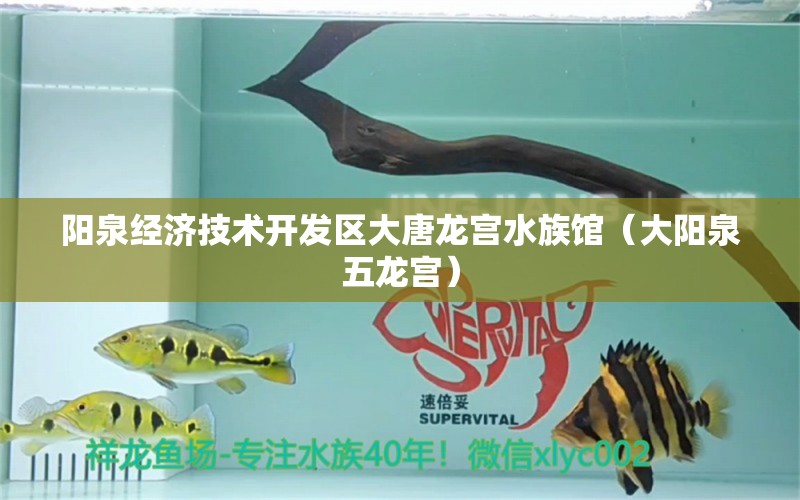 阳泉经济技术开发区大唐龙宫水族馆（大阳泉五龙宫） 全国水族馆企业名录