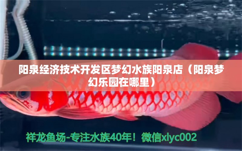 阳泉经济技术开发区梦幻水族阳泉店（阳泉梦幻乐园在哪里）