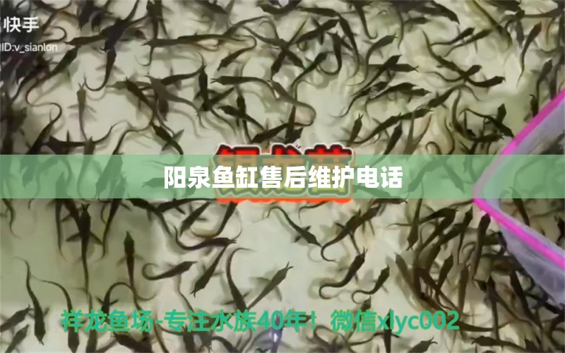 阳泉鱼缸售后维护电话 其他品牌鱼缸