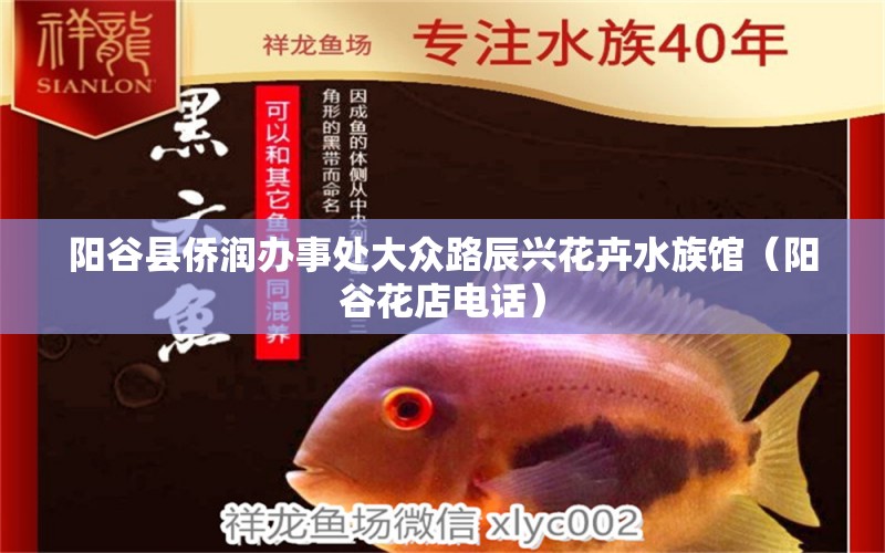 阳谷县侨润办事处大众路辰兴花卉水族馆（阳谷花店电话） 全国水族馆企业名录