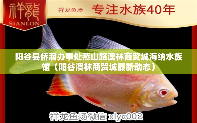 阳谷县侨润办事处燕山路澳林商贸城海纳水族馆（阳谷澳林商贸城最新动态）