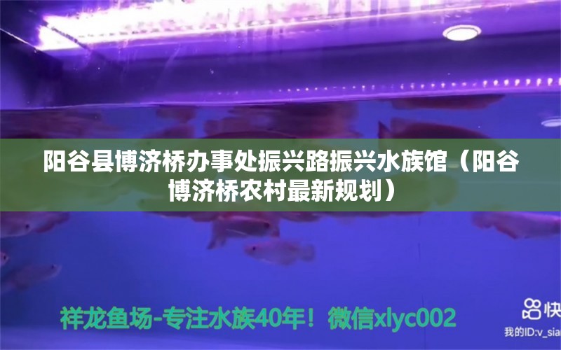 阳谷县博济桥办事处振兴路振兴水族馆（阳谷博济桥农村最新规划）