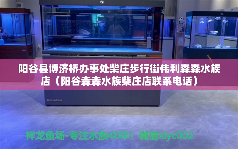 阳谷县博济桥办事处柴庄步行街伟利森森水族店（阳谷森森水族柴庄店联系电话）